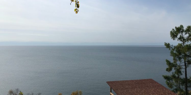 Иркутская область. Социально-экономические аспекты достигнутого уровня охвата APT в России и регионе и дальнейшие перспективы