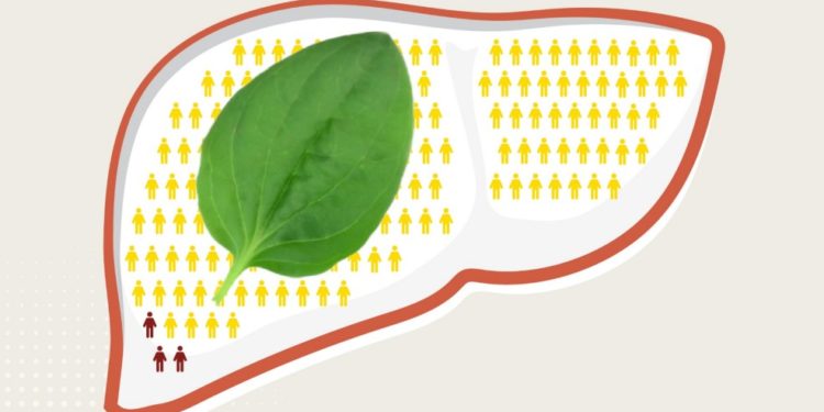 Анализ закупок препаратов для лечения гепатита С в Российской Федерации в 2020 году