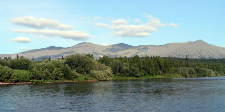 Пермские ученые провели исследование влияния пандемии коронавирусной инфекции на потребление наркотиков и распространение ВИЧ-инфекции